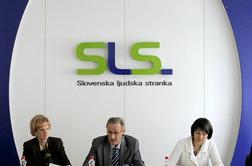 SLS: Družinski zakonik nima ustreznih pravnih varovalk