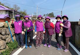 Koreja vijoličasta otoka