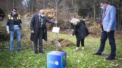 Kako se lahko oddolžimo čebelam (in samim sebi)