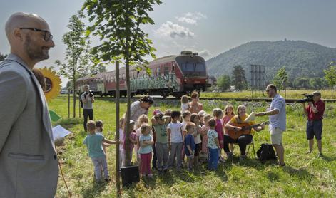 Sončnice ob progah tudi v Bohinju, Celju in Laškem