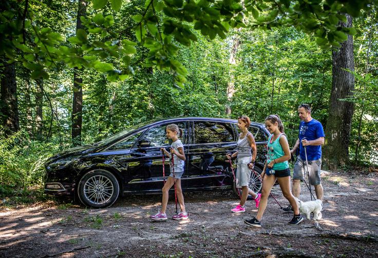 Ford S-MAX | Foto: Vid Ponikvar