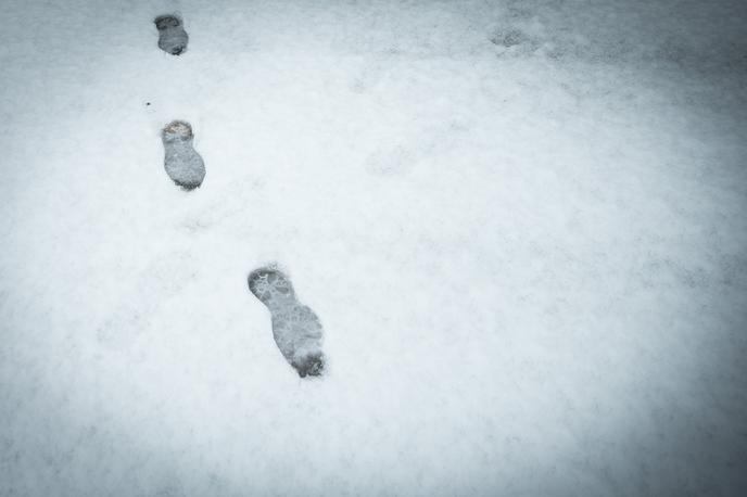 sneg v Ljubljani | V osrednji Sloveniji lahko zjutraj pričakujemo do okoli pet centimetrov snega, ki pa ga bo do večera po vsej verjetnosti že stalil dež, sneg bo moker in težek, zato bo ceste prekrivala plundra. | Foto Ana Kovač