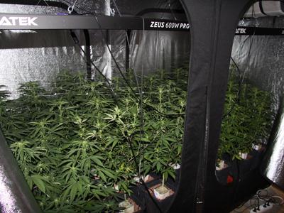 Znova večji zaseg droge v okolici Ljubljane #foto