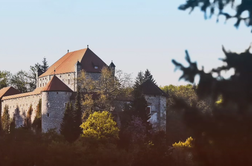 Bo nova lastnica slovenski grad spremenila v središče za seksualne terapije? #video