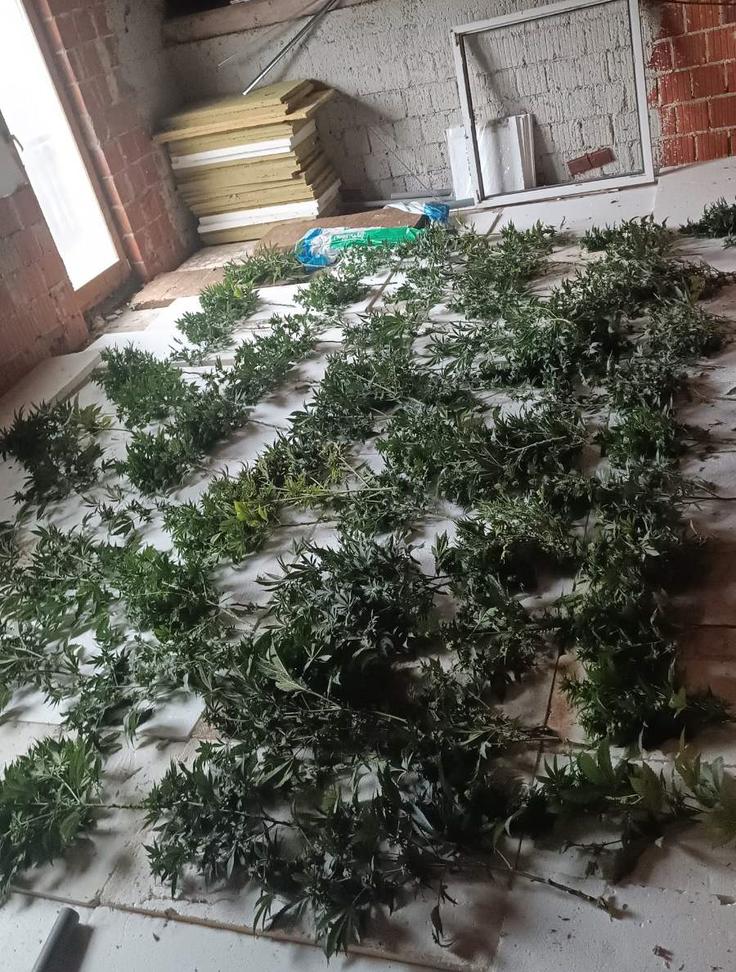 Ribnica, prepovedane droge | Foto: Policijska uprava Ljubljana