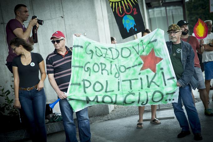 Mladi za podnebno pravičnost, protest | Foto: Ana Kovač