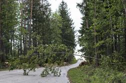 Oranžni alarm: Veter v sunkih tudi čez 70 kilometrov na uro