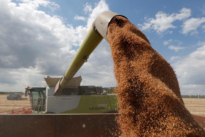 Približno 30 odstotkov svetovnega izvoza pšenice običajno prihaja iz črnomorske regije, pa tudi 20 odstotkov koruze in 75 odstotkov sončničnega olja. | Foto: Reuters