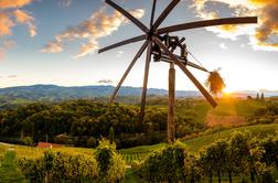 Štajersko razglasili za najboljšo vinsko regijo v Evropi, premagala je celo Francijo in Italijo