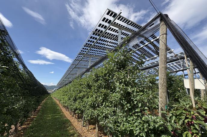agrofotovoltaika | Foto STA