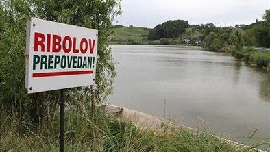 V letu 2010 krepko zmanjšanje vzreje rib in školjk