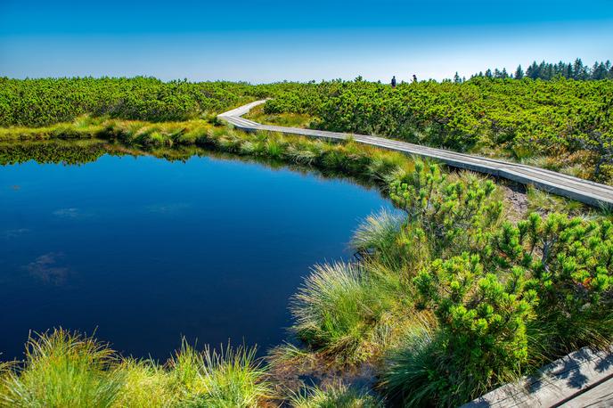 Lovrenška jezera | Foto Shutterstock