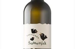 Visoka šola kombiniranja sauvignona in hrane