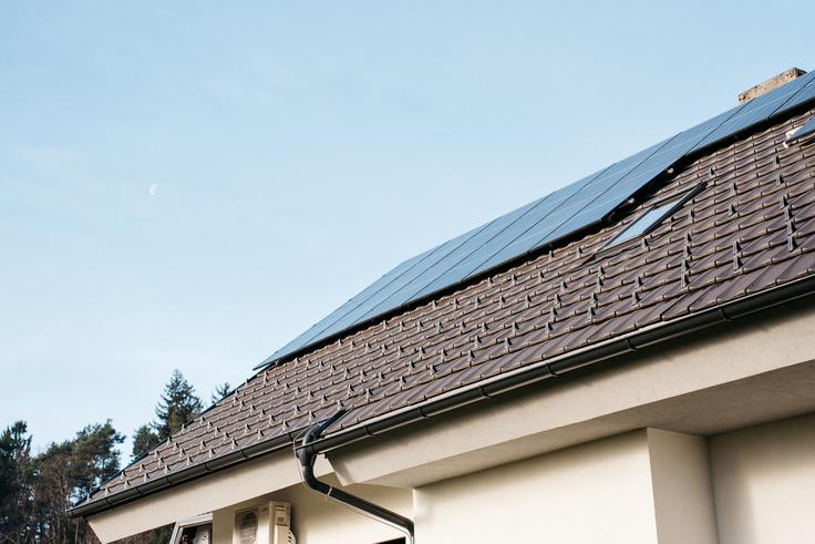 NGEN | Foto: Jan Lukanović