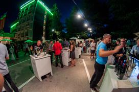 Nova Gorica Hit Park Wine Party vinski festival