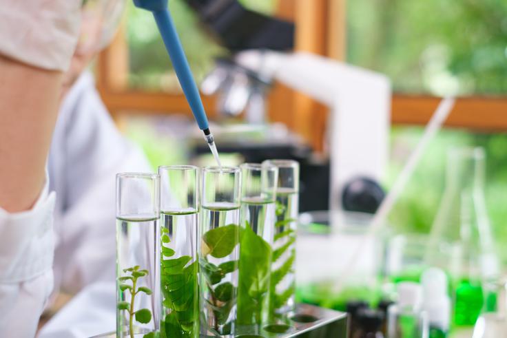 Vsak si zasluži pravico do znanja – znanost kot skupno dobro, ne zasebna lastnina  | Foto: Shutterstock