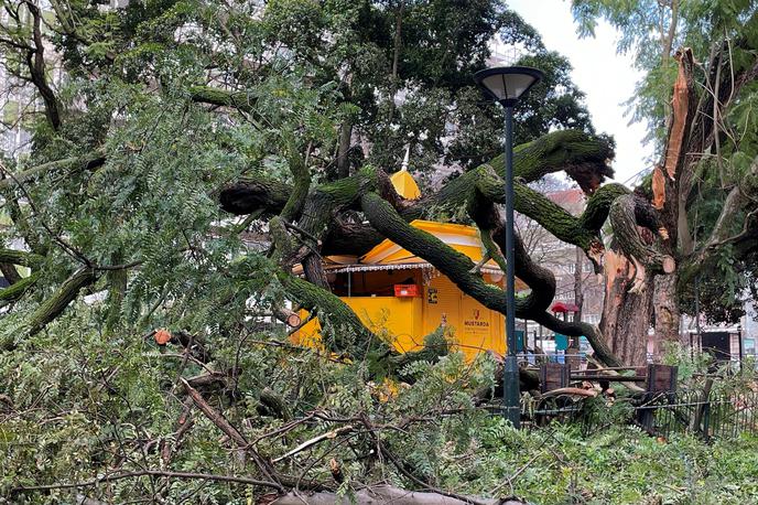 neurje Kristin, Portugalska | Civilna zaščita je poročala o več tisoč nesrečah, povezanih z neurjem. | Foto Profimedia