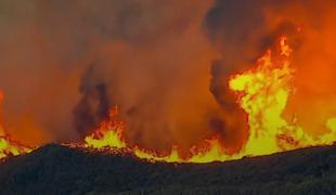 V Kaliforniji divja največji požar v zgodovini te države #video