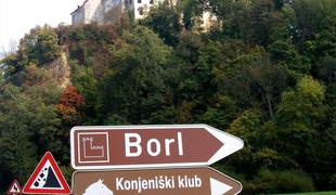 Do kupca gradu Borl z neposrednimi pogajanji