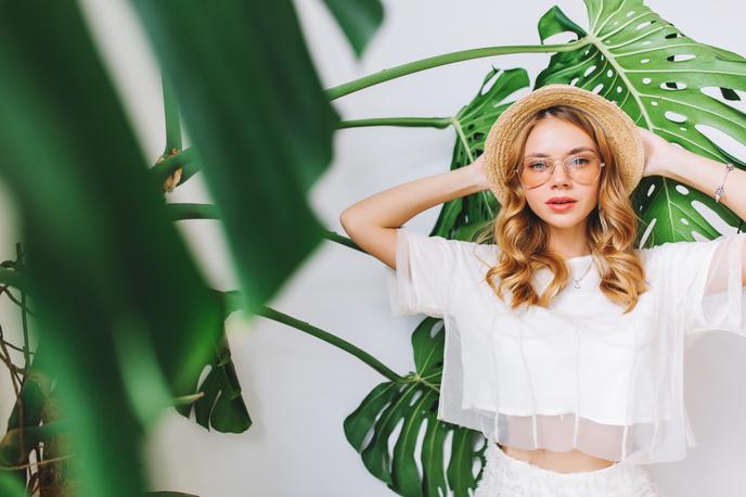 monstera | Foto Shutterstock