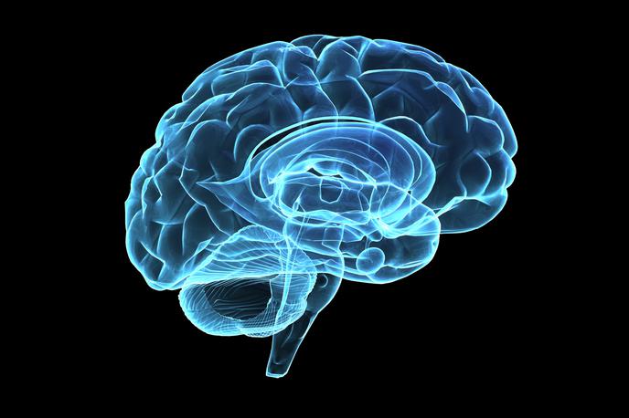 Možgani | Učinkovitost naših možganov je postopoma rasla vse 20. stoletje, v devetdesetih pa še občutno hitreje. | Foto Thinkstock