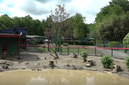 Neurje opustošilo živalski vrt #video