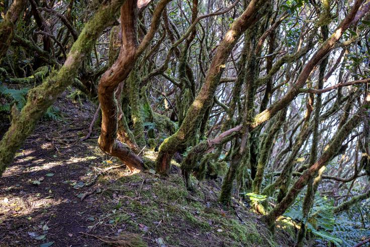 Pot je nazahtevna, lahko pa je blatna. | Foto: Matej Podgoršek