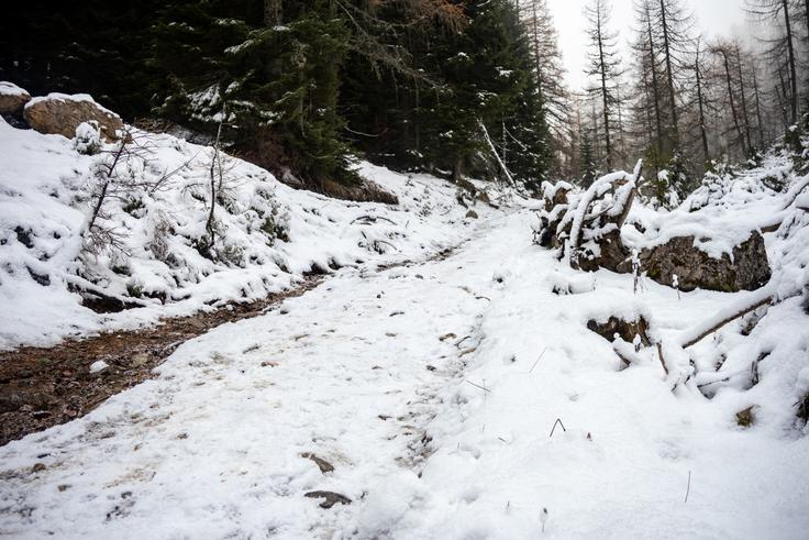 Pot bo zdaj še bolj zasnežena, kot je bila pred dvema tednoma. | Foto: Matej Podgoršek