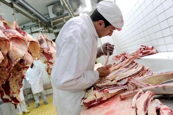 Na Madžarskem z antraksom okužena govedina