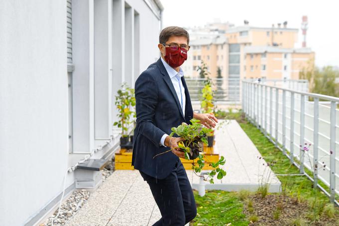 Župan Rakovec se zavzema za čim več zelenih streh na območju kranjske občine. | Foto: Skupina prostoRož