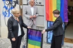 Kljub očitnemu dejanju sovraštva bo odgovarjal le za krajo