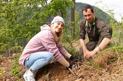 Janja Garnbret z gozdarji posadila 200 sadik macesna in divje češnje