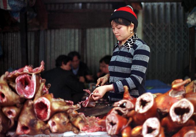 Pasje meso je na Kitajskem, Filipinih, Tajskem, v Južni Koreji, Laosu, Vietnamu, Kambodži in pokrajini Nagaland v Indiji nekaj povsem običajnega. | Foto: Reuters