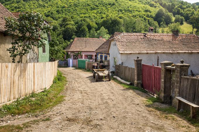 vasica Zalanpatak, Romunija | Foto: Shutterstock