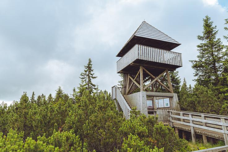 Razgledni stolp pri Lovrenških jezerih odpre pogled čez neskončne pohorske gozdove. | Foto: Shutterstock