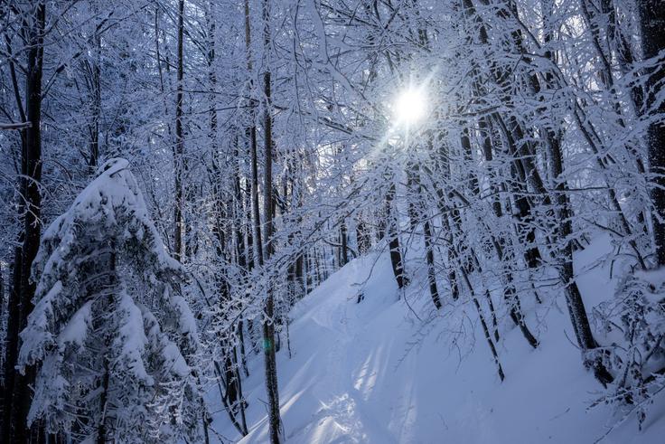 Večji del vzpona je pozimi v senci, saj se vzpenjamo po severnem robu Trnovskega gozda. | Foto: Matej Podgoršek