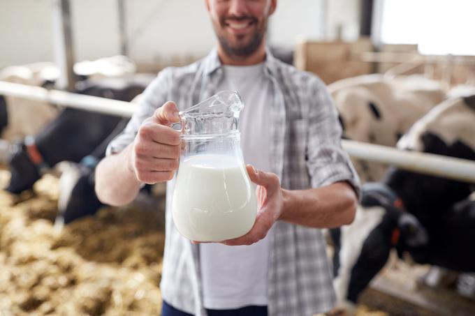 Začetki slovenskega sirarstva segajo v 13. stoletje. Razvijali so ga planšarji, ki so v poletnih mesecih svojo živino pasli na slovenskih planinah.  | Foto: 