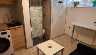 Bizaren oglas za stanovanje: straniščna školjka kar v kabini za prhanje