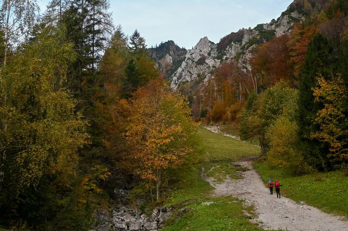 Z Ljubelja navzgor pod opuščenim smučiščem Zelenica | Foto: Matej Podgoršek