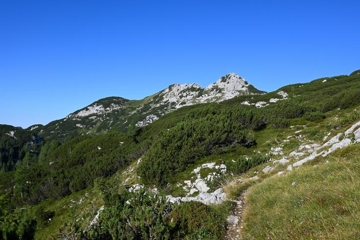 Vzpon nad Dednim poljem, s pogledom na Tičarici. | Foto: Matej Podgoršek