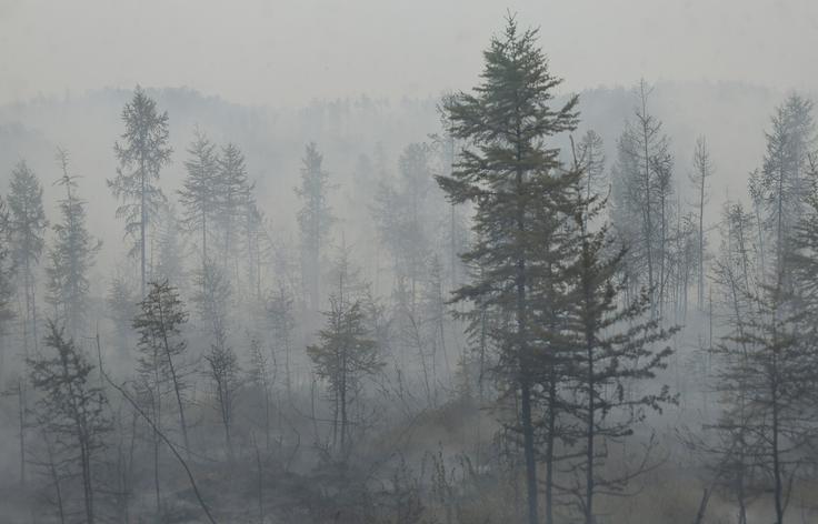 Gozdni požari so v Rusiji predvsem poleti pogost pojav. | Foto: Reuters