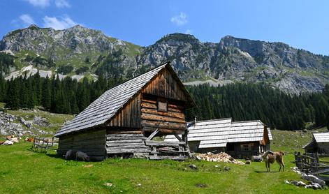 Idilične Fužinske planine in razgledni Ogradi na krožni turi #video