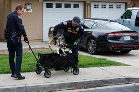 letalo, strmoglavljenje, San Diego, ZDA, reševalci, gasilci, policija, hiše, ljudje, avtomobili