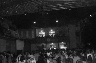 Trnfestil