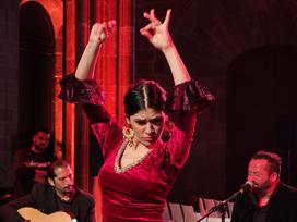 Flamenco, MWC25, Xiaomi 15 Ultra