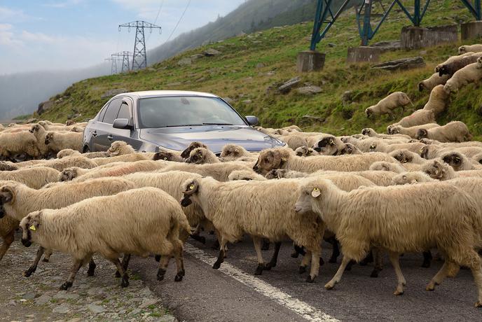 ​​​​​​​Stroški zdravljenja v tujini lahko dosežejo več tisoč evrov. Ste res dovolj zaščiteni?