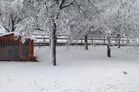 Lahko pričakujemo še kakšno pošiljko snega? V torek napovedani močni sunki vetra. #video #foto