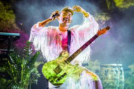 Kokosy, koncert