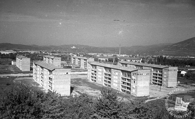 Najprej so zgradili občinsko stavbo, nebotičnik, ki je še danes najvišja stavba v mestu, in tako imenovane ruske bloke, kakršne je Rdeča armada gradila v Vzhodni Nemčiji. Mesto je zasnovano kot park z velikimi nasadi vrtnic. To je tudi razlog, da se ga je oprijelo ime mesto vrtnic, njihovi nogometaši pa so znani kot vrtnice. Na fotografiji: gradnja Nove Gorice, oktober 1951.  | Foto: Foto: Vlastja Simončič, hrani: Muzej novejše zgodovine Slovenije.