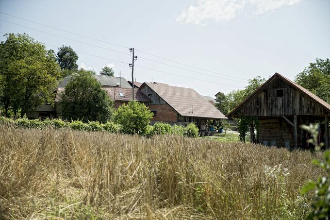 "Deset streh smo prekrili na kmetiji," pove Jože, ki se dobro spominja časov, ko so bile te krite s slamo.  | Foto: Ana Kovač